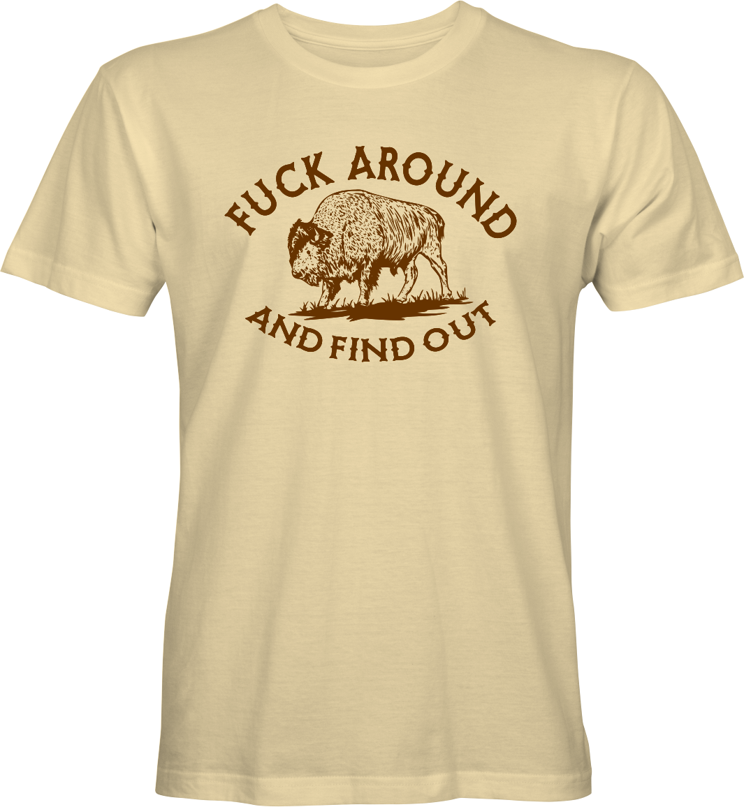 Fuck Around and Find Out T-shirt