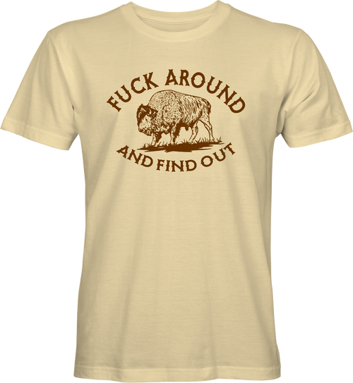 Fuck Around and Find Out T-shirt